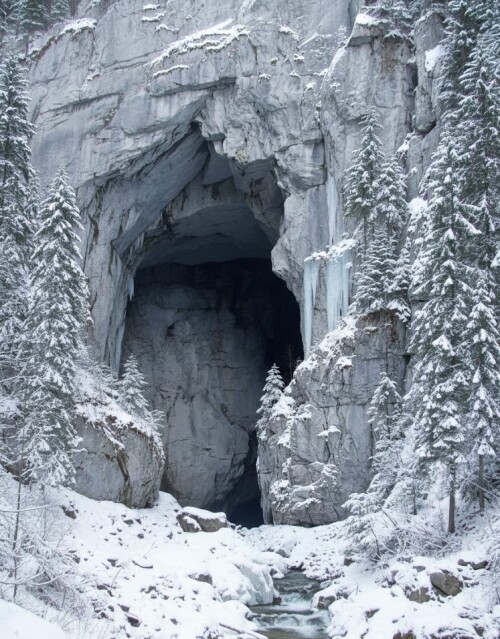 pestera-cetatile-ponorului-cave-portal-winter-apuseani.jpg