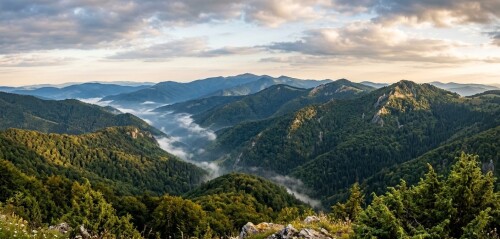 poiana-rusca-mountains-landscape-misty-forest-panorama-romania.jpg