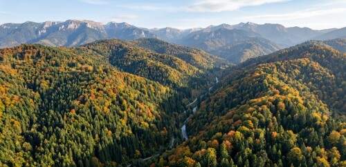 aerial-view-romanian-carpathian-mountains-virgin-forest-landscape.jpg