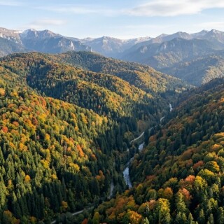 aerial-view-romanian-carpathian-mountains-virgin-forest-landscape