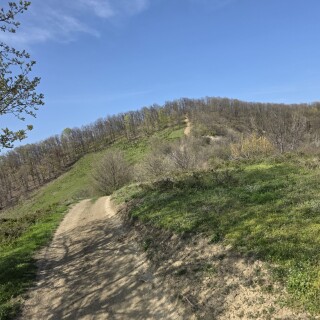 the-treasure-hill-cuib-prahova-romania