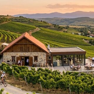 romania-oenotourism-landscape